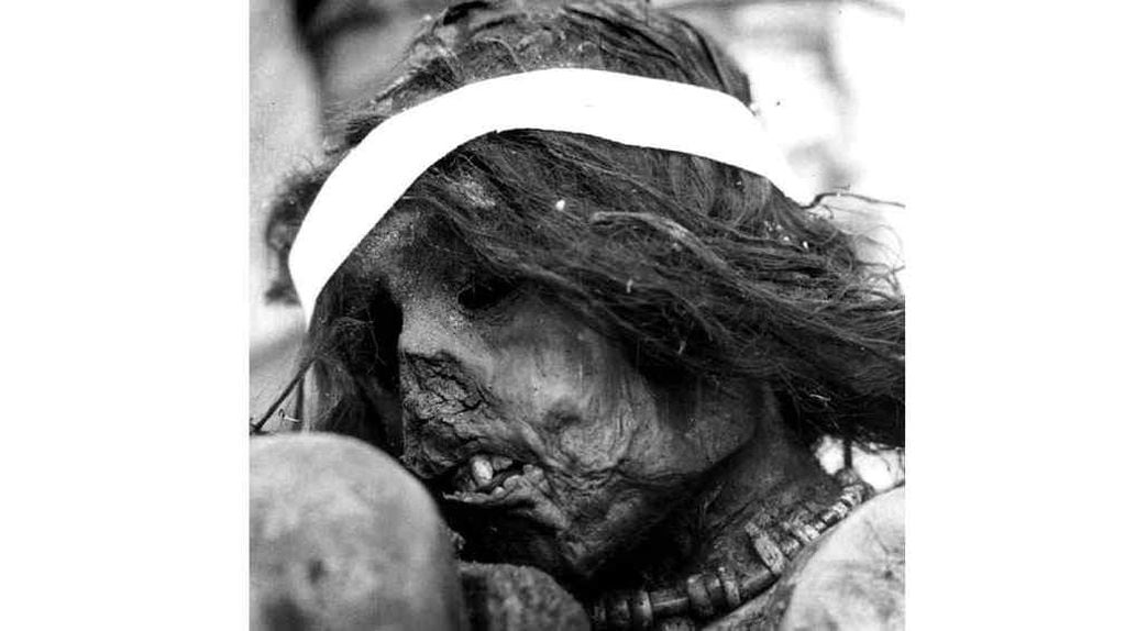 500 años. La “momia del Aconcagua” tiene cinco siglos de edad. El niño fue sacrificado en el ritual inca Capac Cocha.