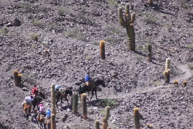 La vida en los Cerros: cómo viven las familias de la Quebrada del Toro