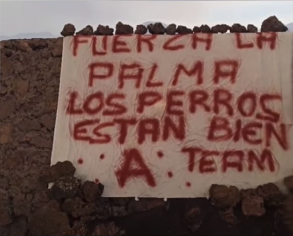 "Fuerza La Palma. Los perros están bien. Team A", el mensaje del grupo que supuestamente rescató a los perros.