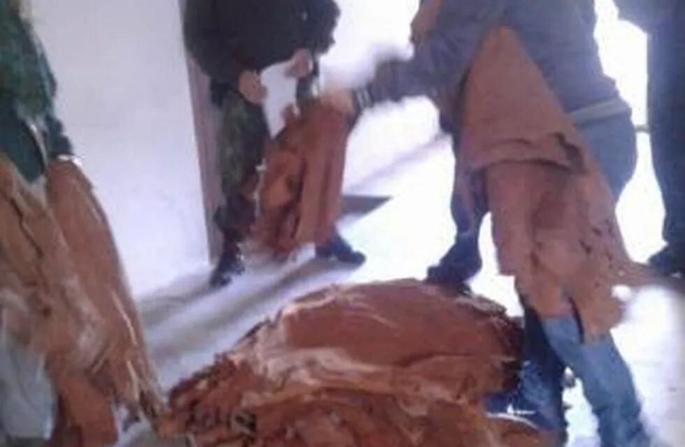 Secuestran más de 1200 cueros de carpinchos en dos talleres clandestinos