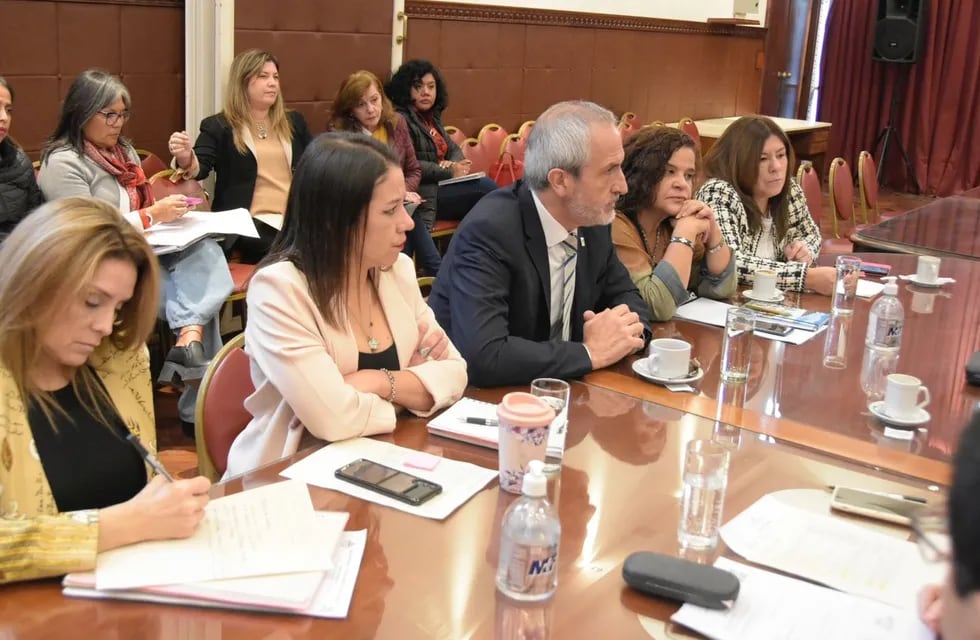 El secretario de Cultura de la provincia de Jujuy, José Rodriguez Bárcena, expuso ante la Comisión de Cultura y Turismo de la Legislatura sobre la marcha de su gestión.