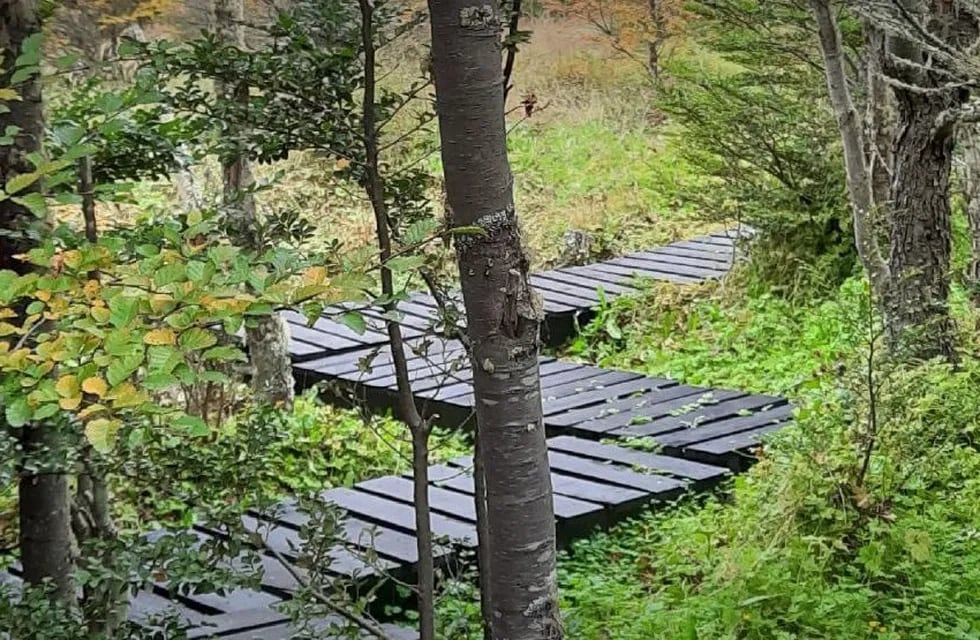 Ushuaia: invitan a conocer el  Jardín Botánico del Cerro Bonete