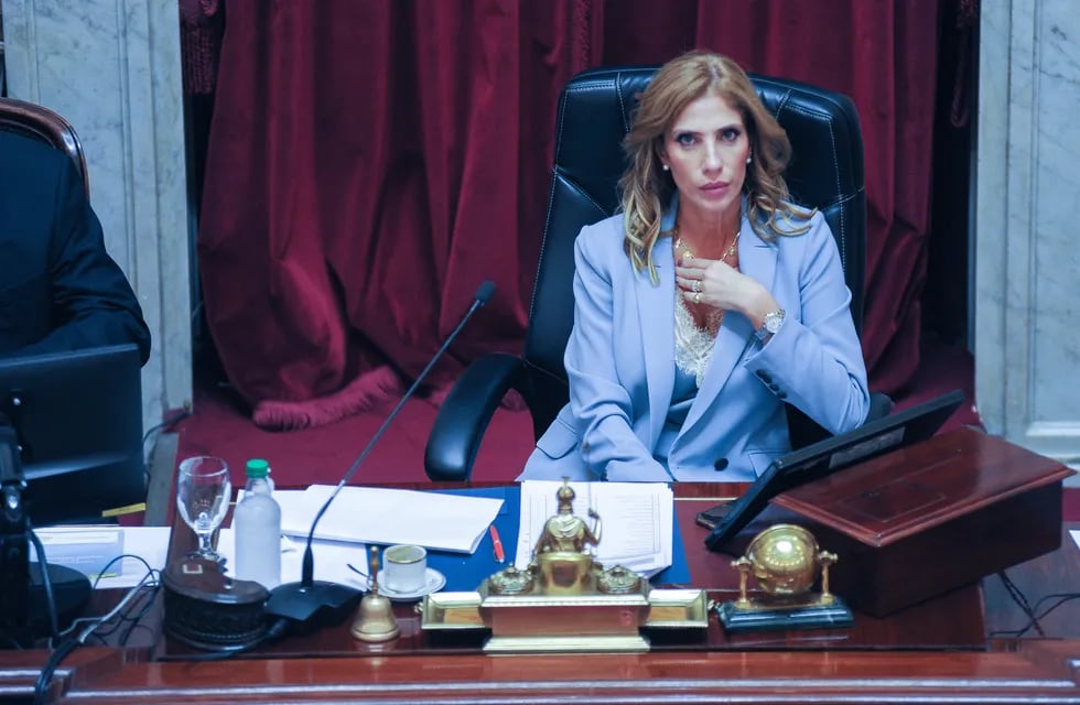 Claudia Ledesma Abdala estará a cargo del Senado ante la asuencia de Cristina Kirchner. 
Foto Federico Lopez Claro