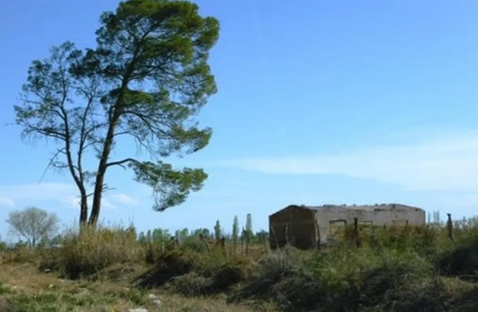 El abandono de fincas produce diversos perjuicios, aparte de la improductividad de las mismas