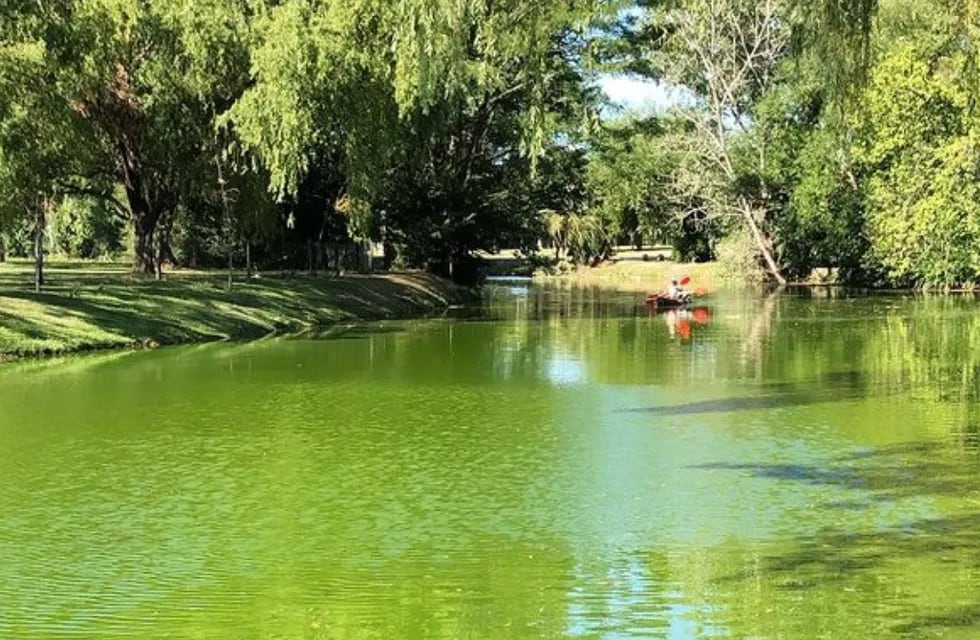 El arroyo se puso verde