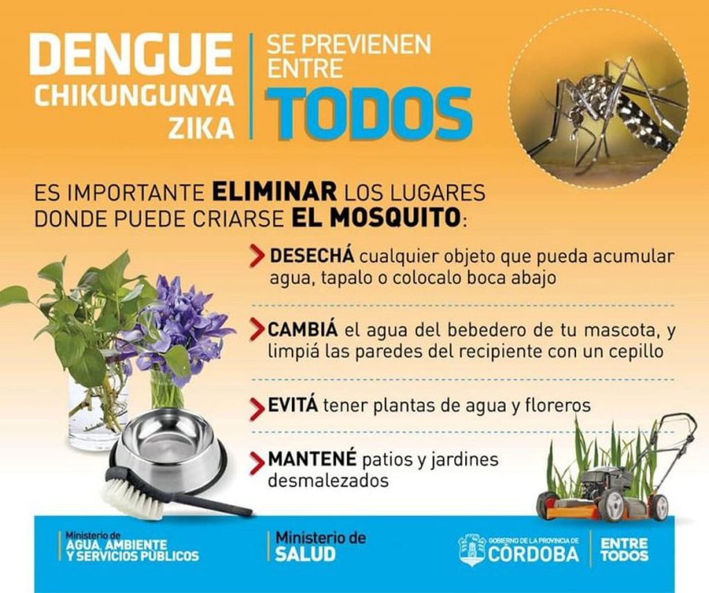 Prevención dengue.