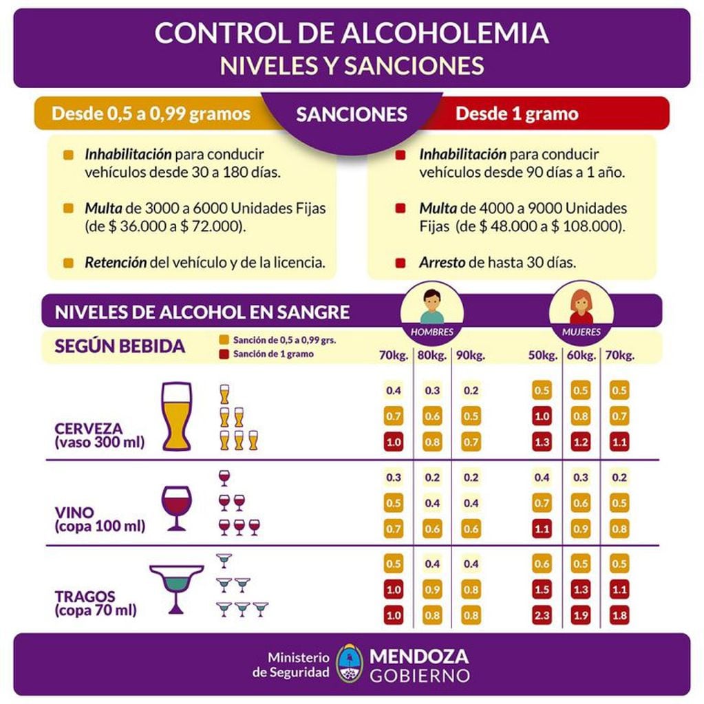 Niveles de alcohol al volante en Mendoza.