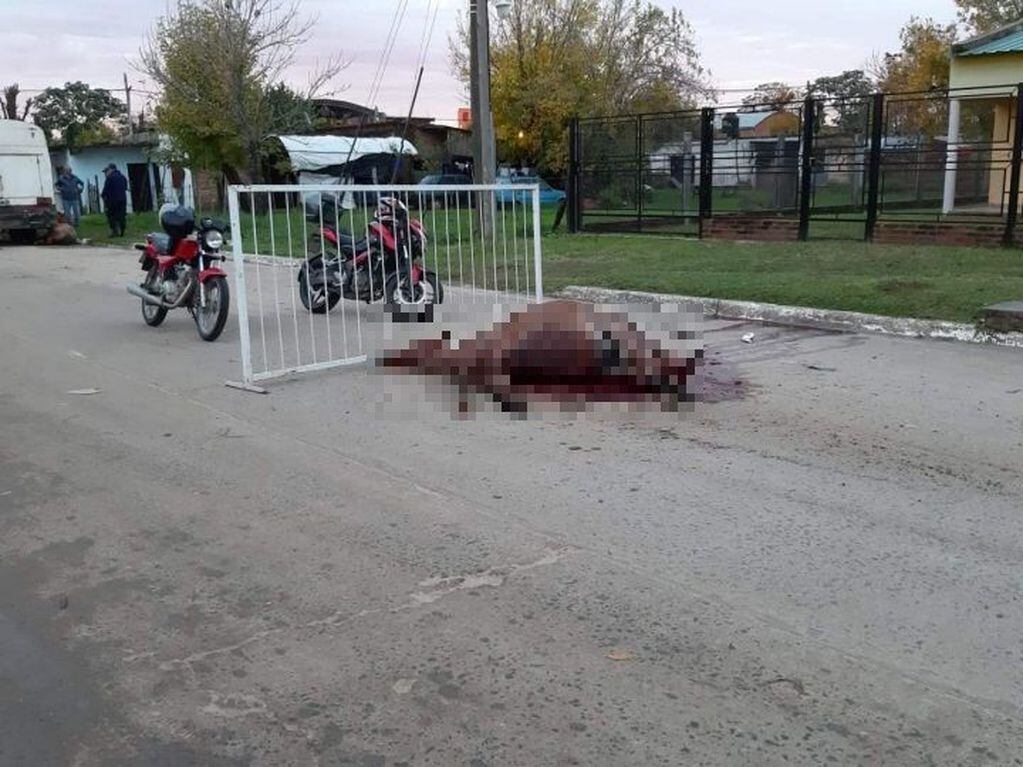 Conductor ebrio mató a un caballo e hirió gravemente a otros dos