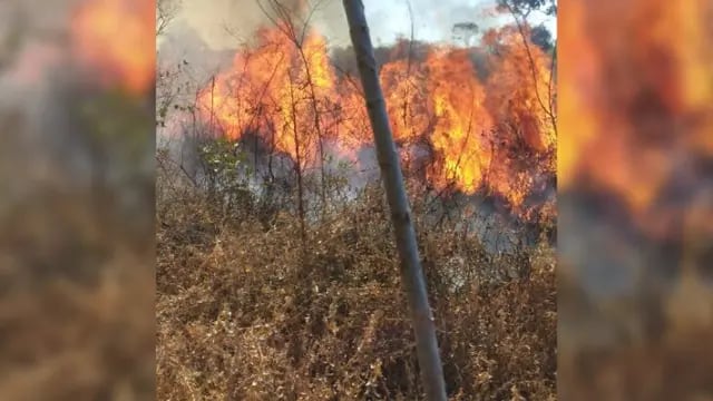 Tras cuatro horas de trabajo, bomberos pudieron sofocar un incendio forestal en Puerto Iguazú