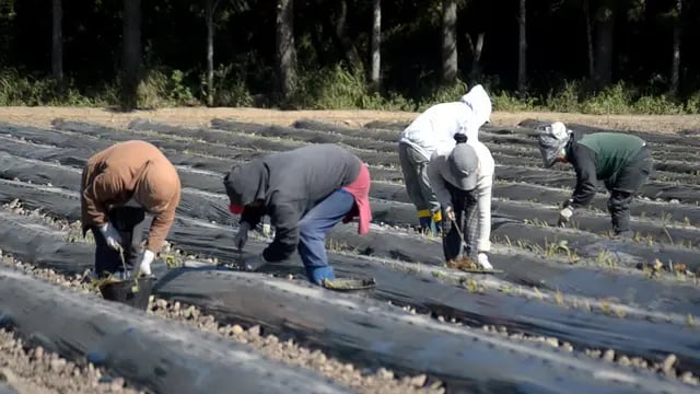 Agricultura familiar en Jujuy