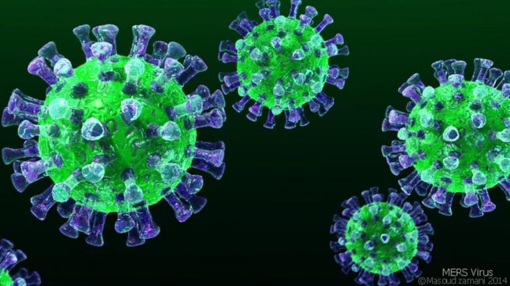 MERS -COV es similar al coronavirus. Se  originó en medio oriente.