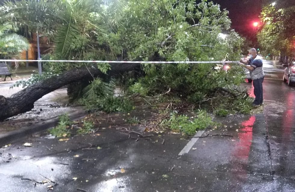 La tormenta provocó serios daños en Rosario