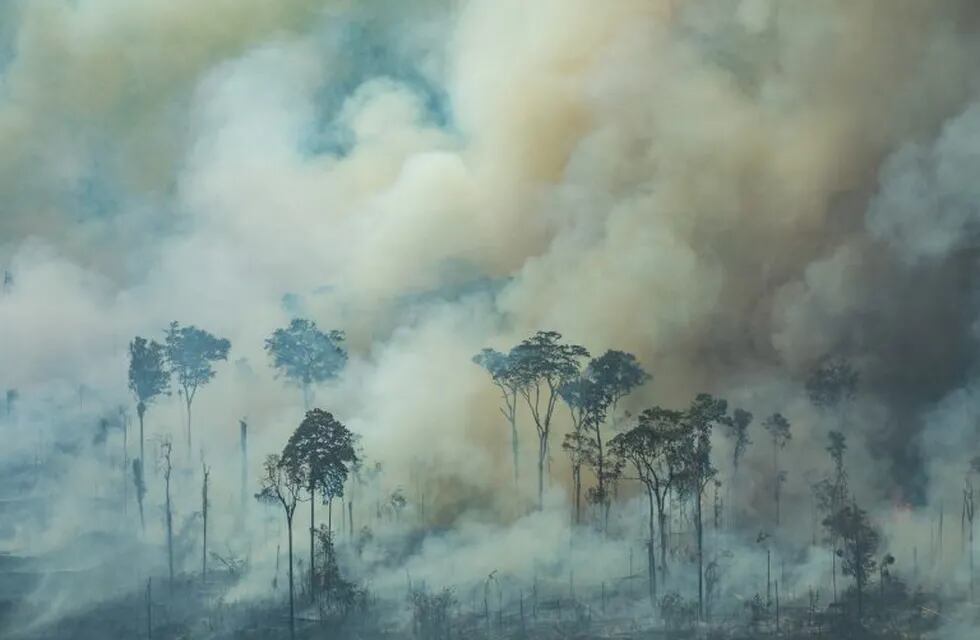 El humo del fuego que consume la floresta en diversos puntos del Brasil, principalmene en la zona del Amazonas, llegará a Misiones esta semana. (Victor Moriyama/Greenpeace Brazi / DPA) Foto ilustrativa.