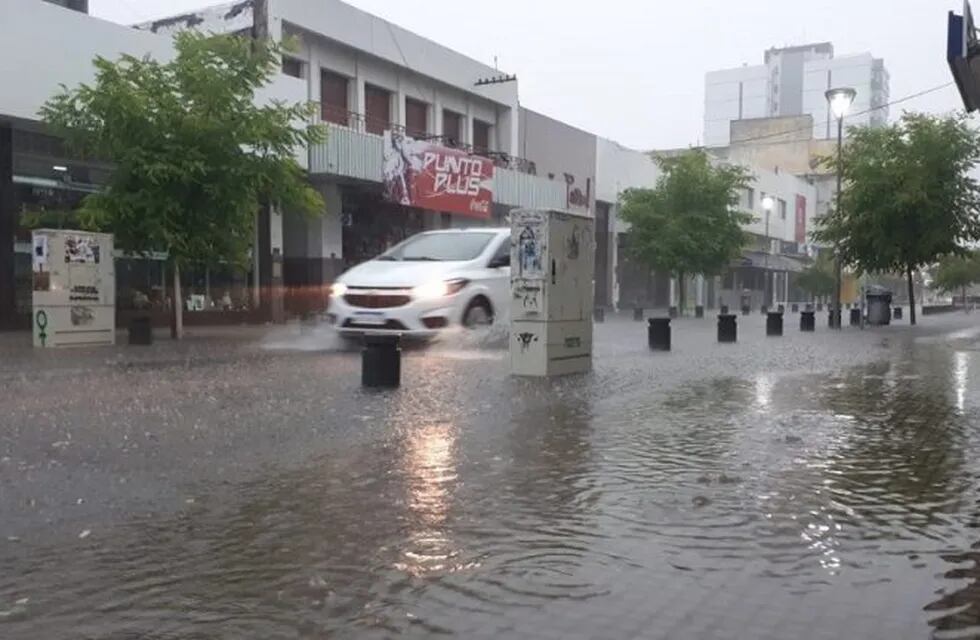 Lluvia Viedma