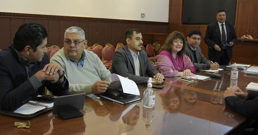 La presidente de la Comisión de Cultura y Turismo de la Legislatura de Jujuy, Mariela del Valle Ortíz, condujo la reunión.
