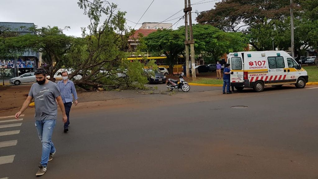 Un árbol hirió a una mujer que circulaba a bordo de su motocicleta. Policía de Misiones