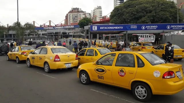 Taxistas paran en Córdoba