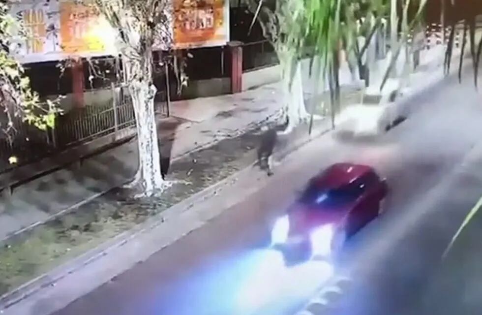 Ciclista atropellado en Villa Pueyrredón.