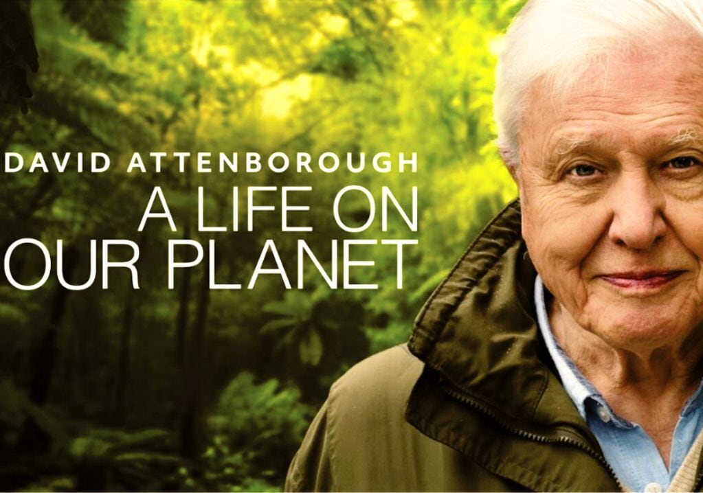 “David Attenborough: Una vida en nuestro planeta” se puede ver en Netflix