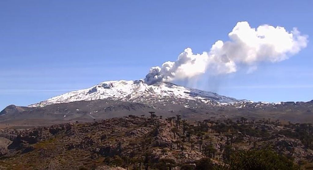 El "pulso eruptivo" del volcán Copahue.