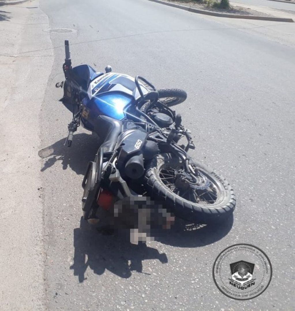 Moto robada en Neuquén (web).