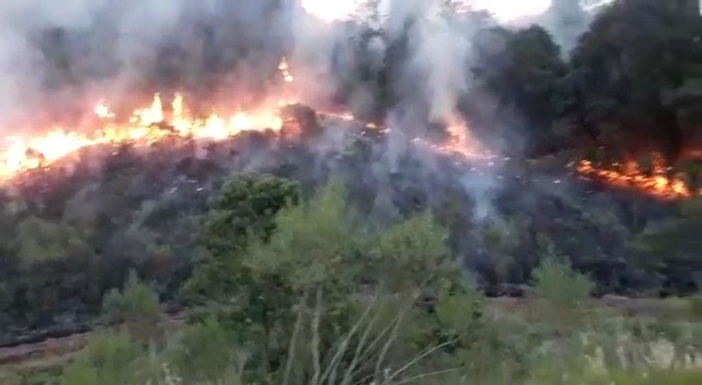 Incendio en la Reserva Yabotí. 