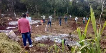 Puerto Libertad: integrantes de la Aldea Yryapú tuvieron capacitaciones en agrofloresta