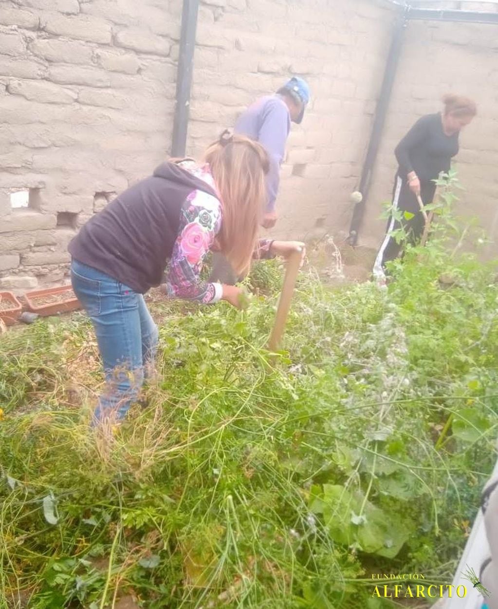 Los maestros se ocupan de la limpieza, el mantenimiento, la cocina, la huerta y el invernadero pero por protocolo de coronavirus necesitan personal que se encargue de estas tareas.