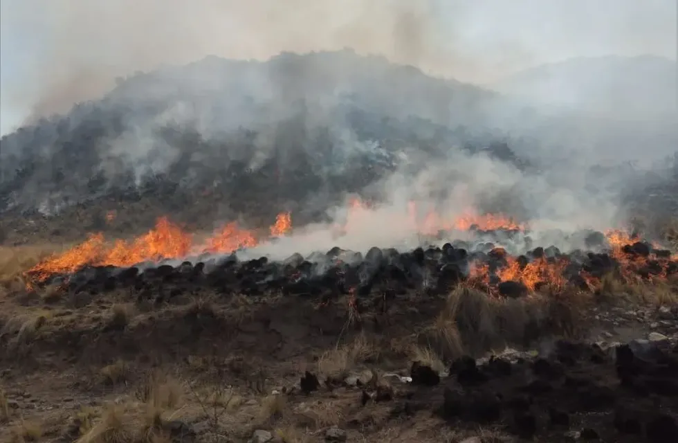 Las llamas comenzaron en tres zonas del departamento rural sanjuanino.