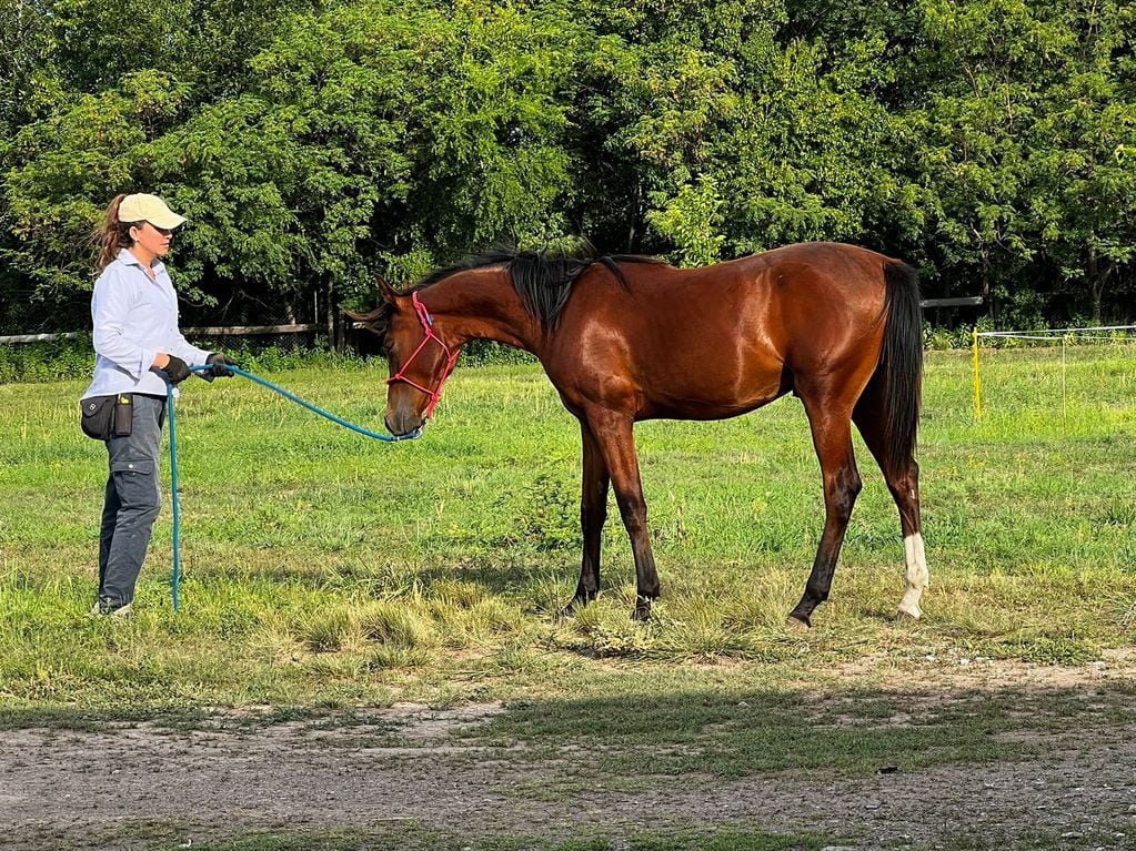 Virginia Oroná con Ranquel (árabe Muniqui)