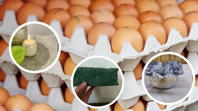 No solo para los mosquitos: 3 ideas para reciclar al máximo maples de huevos