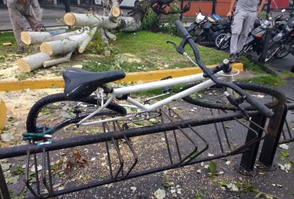 En la zona de la terminal, un árbol aplastó una bicicleta y rompió cables de las cámaras de videovigilancia. (@belitaonline)