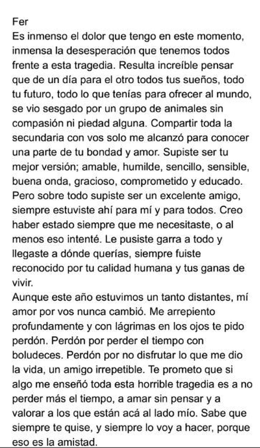 Carta de uno de los amigos a Fernando Báez Sosa (web).