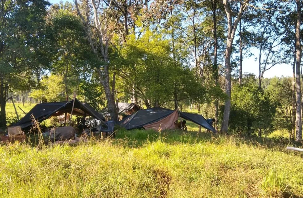 Detectan irregularidades en un campamento de yerbales en Santa Rita