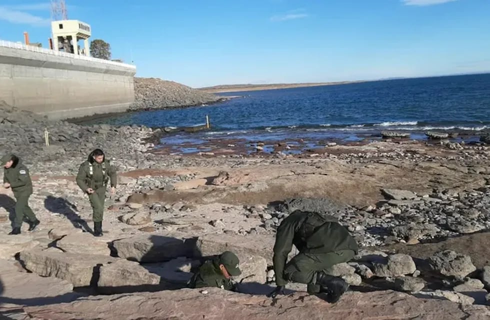Gendarmes encontraron nuevos restos fósiles de dinosaurio en Neuquén.