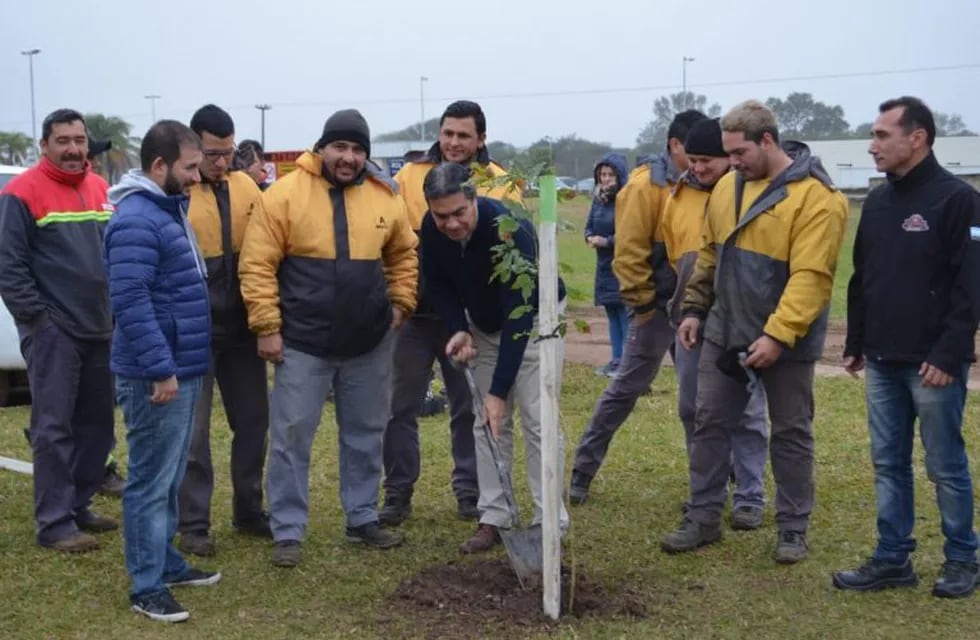 El intendente Jorge Capitanich participó de una nueva implantación de árboles. (Prensa Municipio de Resistencia)