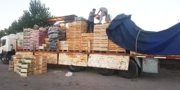 ISCAMEN decomisó 400 kilos de pimiento que iban a San Rafael