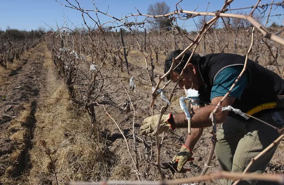 De aprobarse la ley, serían unos 10 mil beneficiarios que podrán jubilarse a los 57 años.