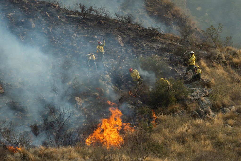 Colocarán carteles indicadores del riesgo de incendio forestal sobre rutas de Mendoza