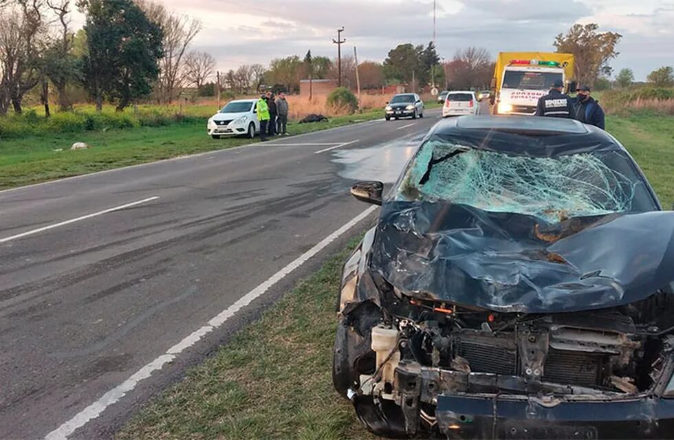 Accidente: 2 caballos fueron atropellados por un conductor sobre ruta 11.