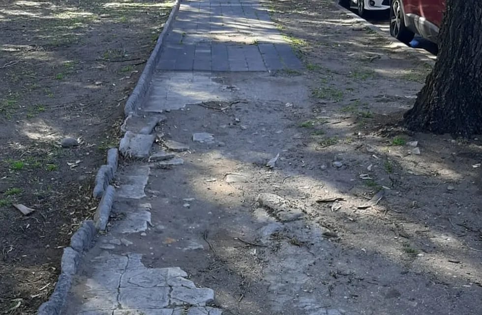 Solicitan la reparación de veredas del Parque Sarmiento