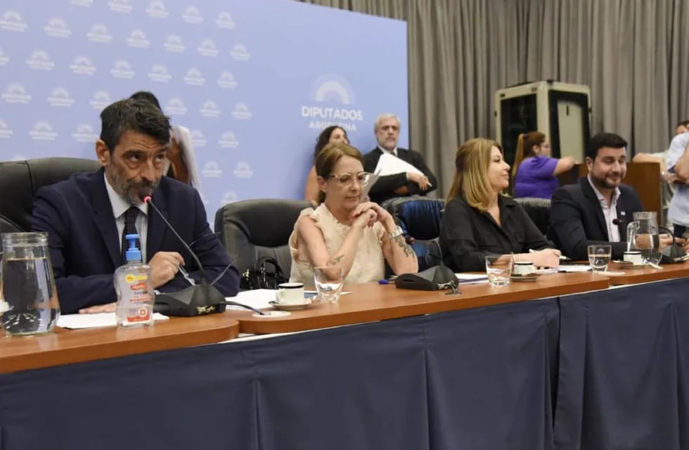 Los diputados Rodolfo Tailhade y María Luján Rey, presidentes de las comisiones de Justicia y de Legislación Penal. Foto: HCDN.
