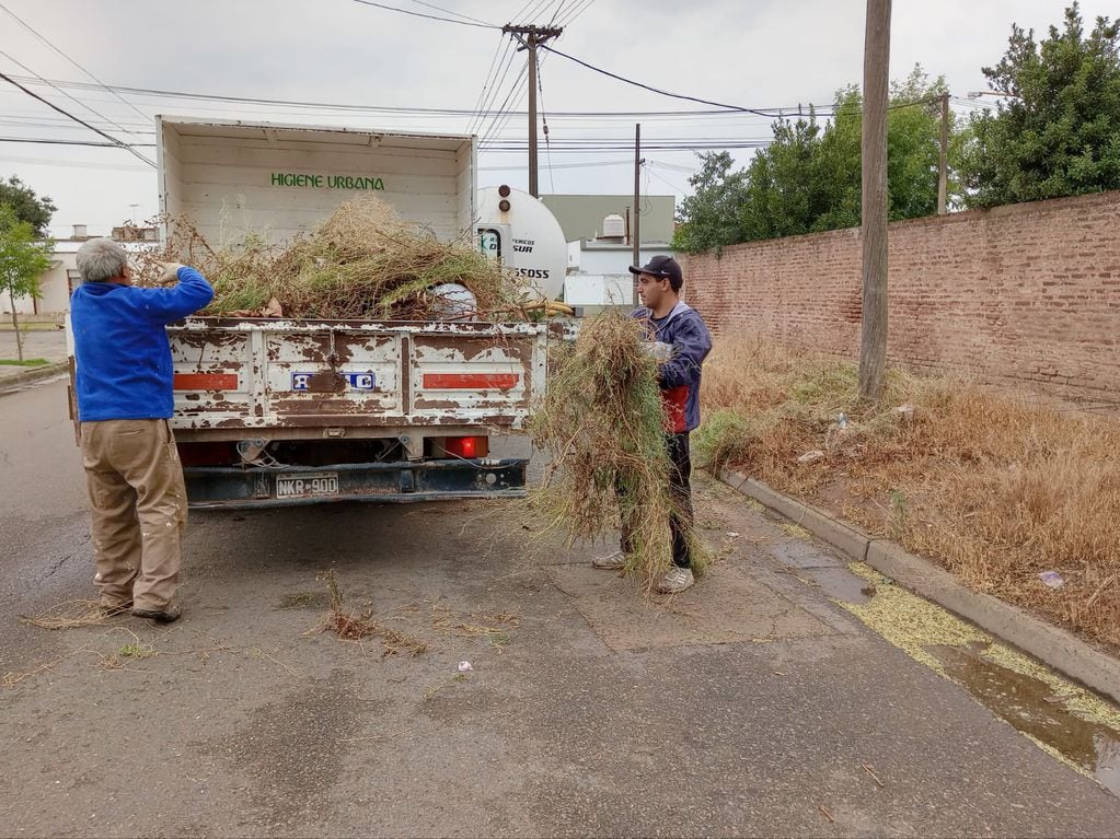 Higiene Urbana de Tres Arroyos detalla los trabajos realizados en la última semana