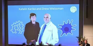 La bioquímica húngara Katalin Karikó y el investigador estadounidense Drew Weissman son premio Nobel de Medicina.