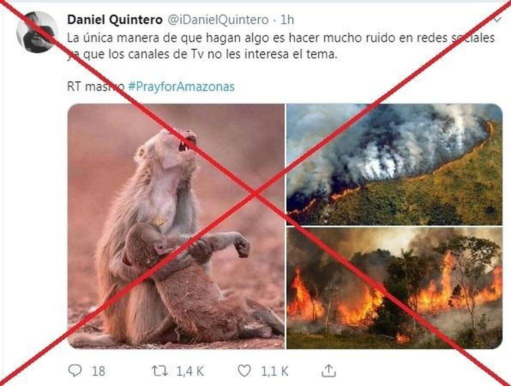 Las fotos falsas del incendio en el Amazonas (Web)