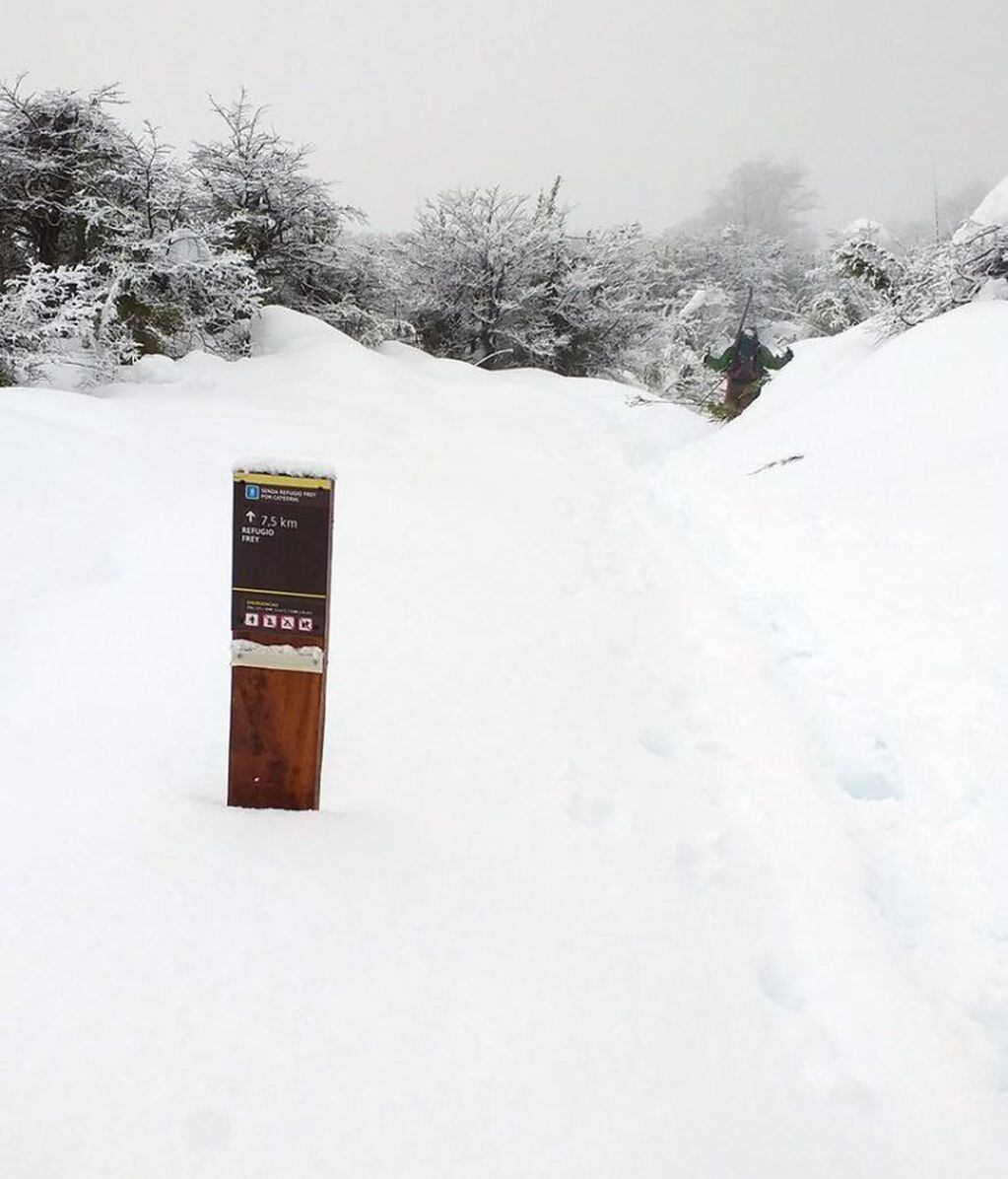 Así están los senderos por las nevadas en el Parque Nacional Nahuel Huapi (web).