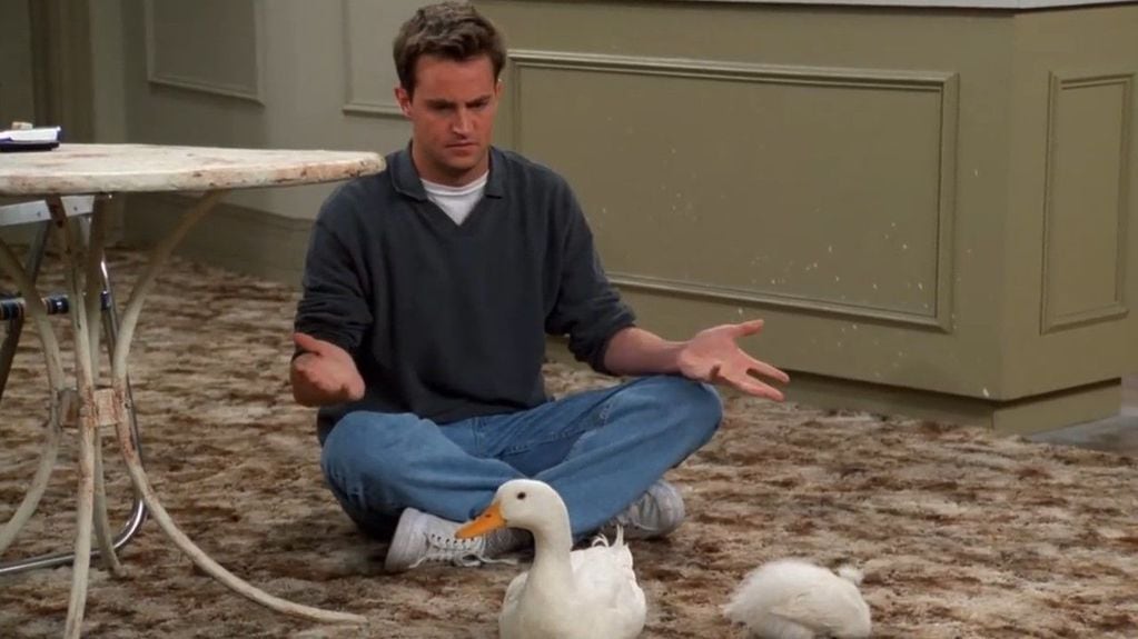 Chandler junto a la pollita y el pato.