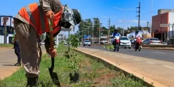 Travesía Urbana en Posadas: convocan a la población a plantar árboles