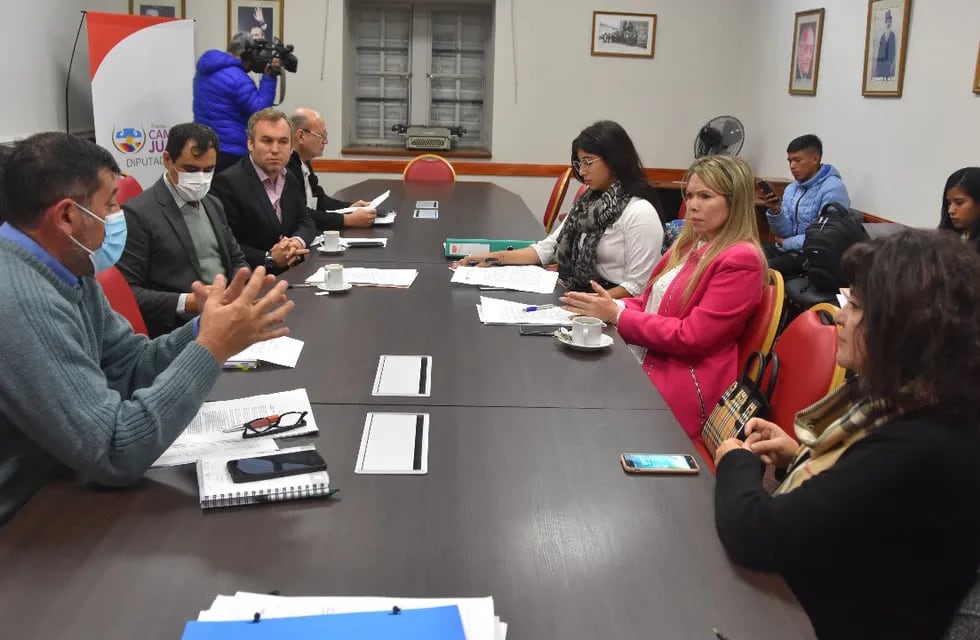 La Comisión de Salud de la Legislatura de Jujuy se reunió en el salón "Raúl Alfonsín" para continuar trabajando sobre el proyecto de ley para visibilización y tratamiento de la endometriosis.
