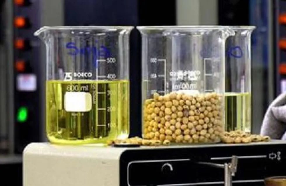 Firman un convenio para reciclar el aceite vegetal utilizado en restaurantes y hoteles paranaenses